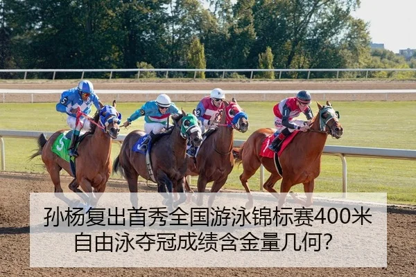 sun-yang-fu-chu-shou-xiu-quan-guo-you-yong-jin-biao-sai-mi-zi-you-yong-duo-guan-cheng-ji-han-jin-liang-ji-he-2-884.jpg